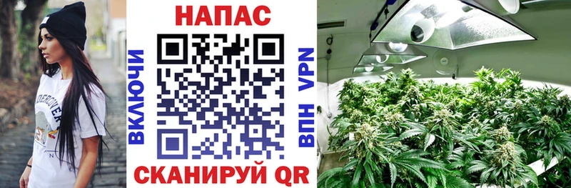 Где найти наркотики Дубовка Амфетамин  Меф мяу мяу  MDMA  A-PVP  ГАШИШ  МАРИХУАНА  Cocaine 
