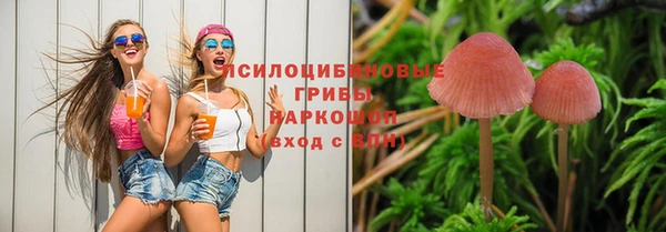 прущие крисы Михайлов